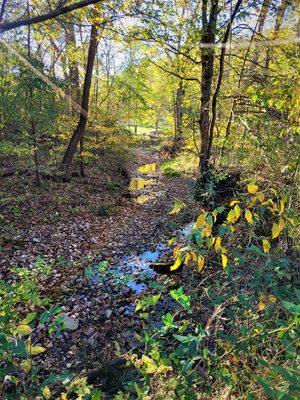 Kathy Stewart - Keller Williams Realty