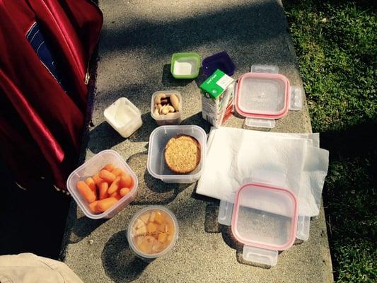 Vintage Green Valley Park