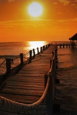 My Waterfront Property