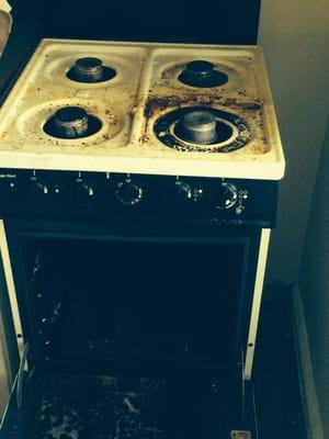 Spick and Span Cleaning Service LLC