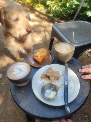 Best mocha in town. And a barista who lovingly makes each cup. Coupled with Sesame Mini (or Seedy Rye or Muesli Loaf!) HEAVENLY MORNING!