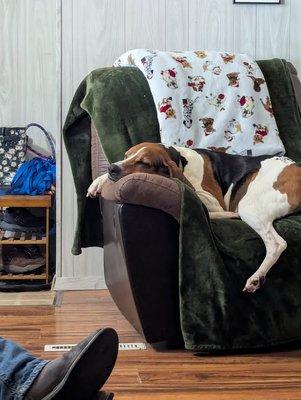 Marshall County Veterinary Clinic