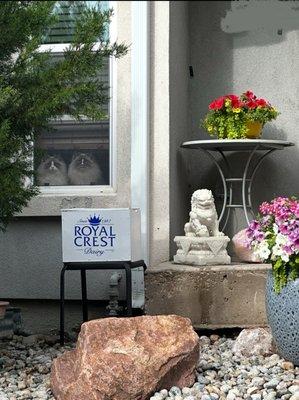 Royal Crest Dairy