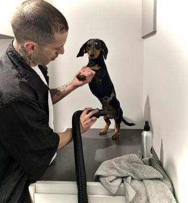 Furrever Johnys Grooming