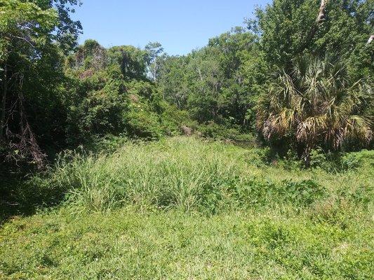 Landscapes Jacksonville