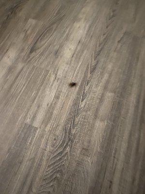 Beach Quarters Resort