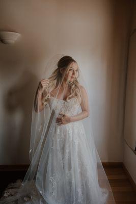 Wedding dress and veil