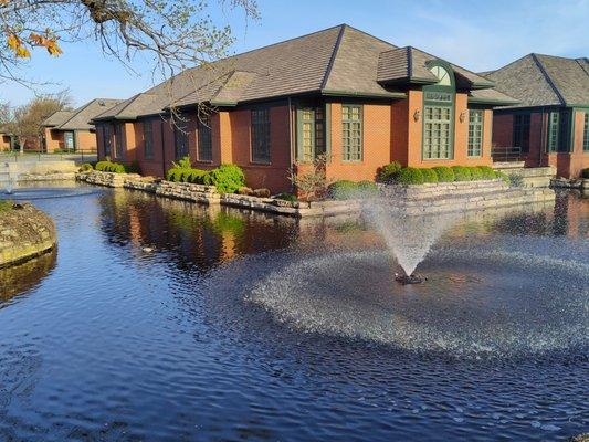 Cornerstone Therapy Collective