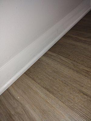 Home Impressions and More