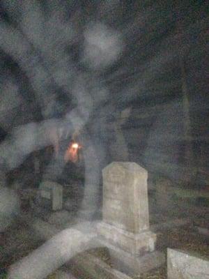 A lady and her Great Dane.