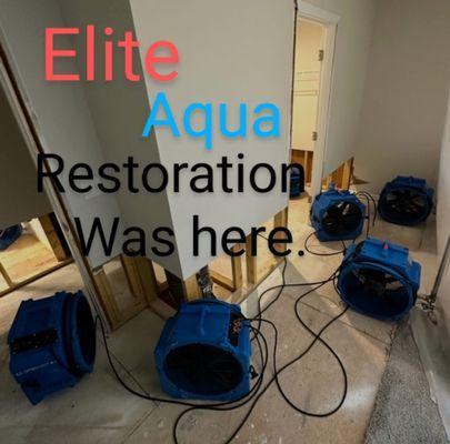 Elite Aqua Restoration