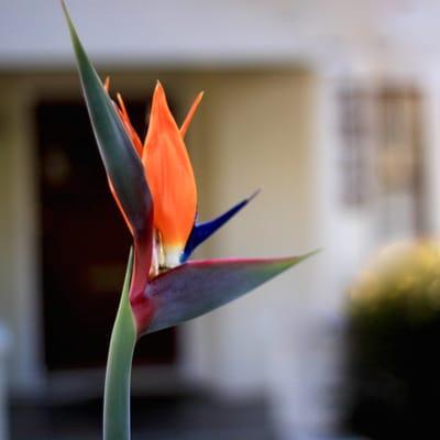 A Compassionate Voice on the Central Coast