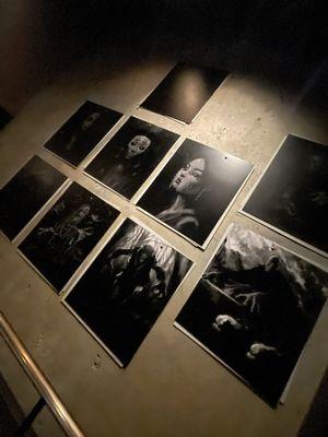 Monsters Unchained The Frankenstein Experiment