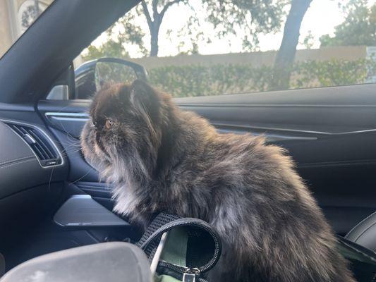 Fondren Pet Care Center - Palm Beach Gardens