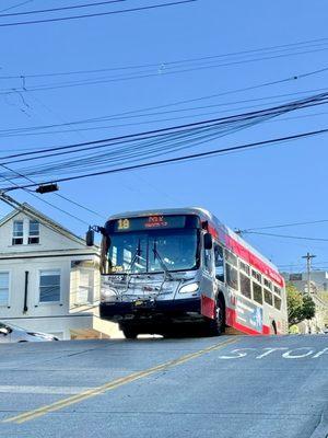 MUNI - 19 Polk