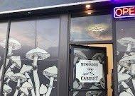 The mushroom cabinet store