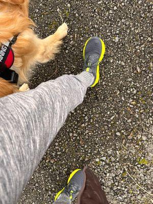 PRO BIKE+RUN - Robinson