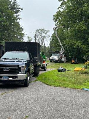 Sepples Tree Service