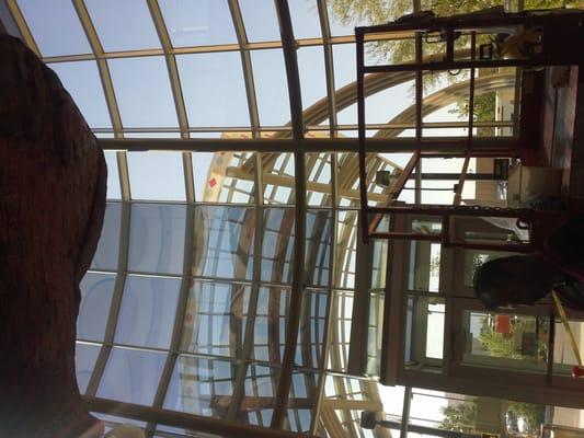 Absolute Window Tinting Solutions