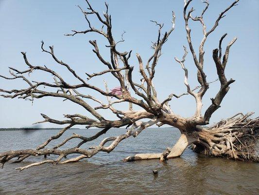 Seas the Day Charters