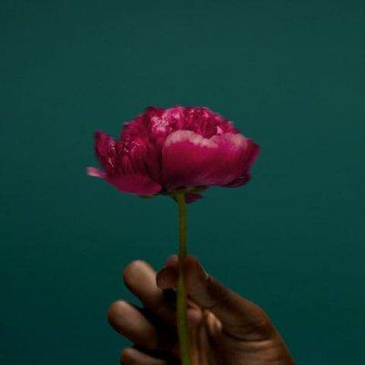 Rison Shine Housekeeping