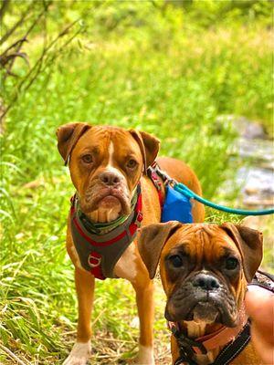 The Ranch at Bonny Oaks
