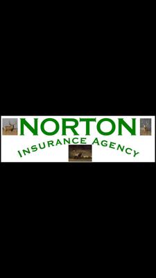 Norton Insurance Agency Inc