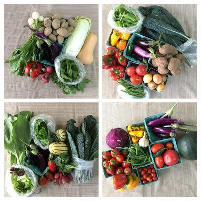 Ever Green Farm Inc