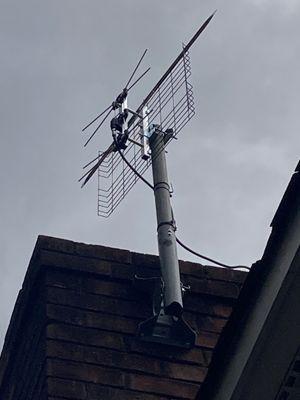 GreenWave Satellite Enterprise