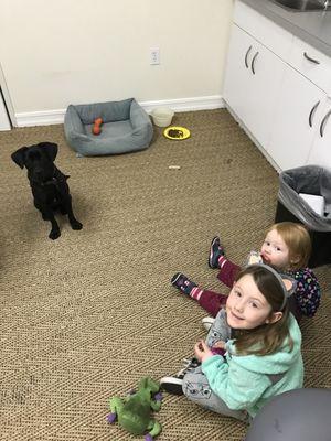 Viken Garabedian, DDS