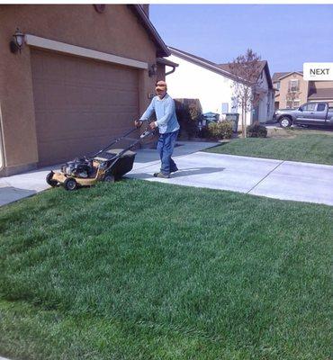 Ricardo's Evergreen Lawn Services