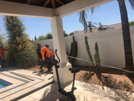 Affordable Tree Removal & Trimming