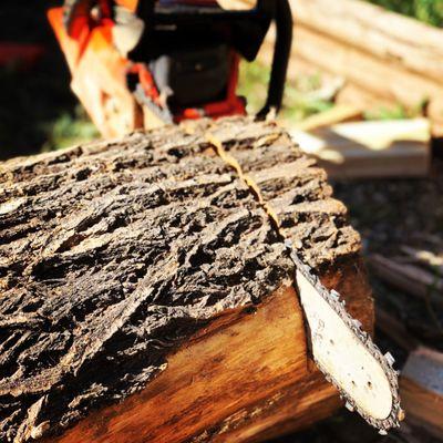 Alpine Property Maintenance