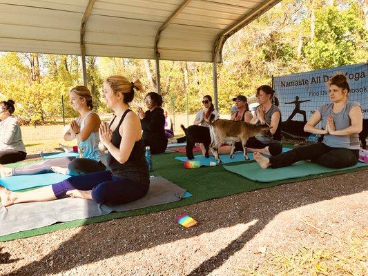 Namaste All Day Yoga