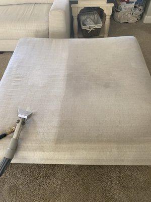 Cardinal Carpet Cleaning