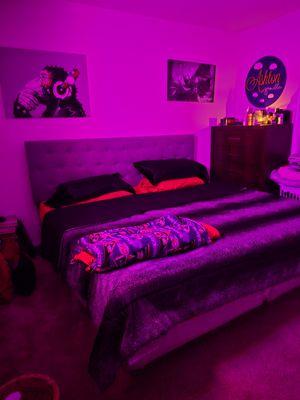 Platinum 5 Cleaning Services