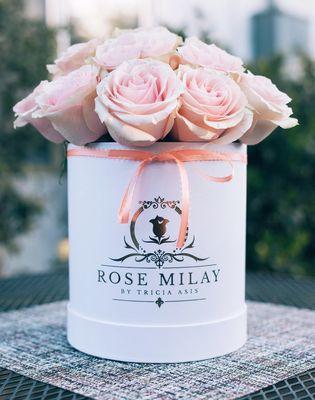 Rose Milay