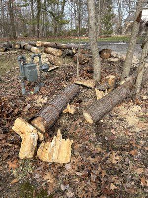 Falling Timbers Tree Service