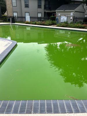 Regency Green Pocket Park