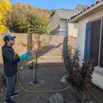 Optimex Pest Control Prescott