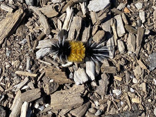 Thunder Mountain Hike