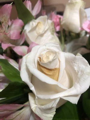 1800Flowers | Conroys Fresno