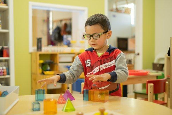 Safari Kid - Menlo Park