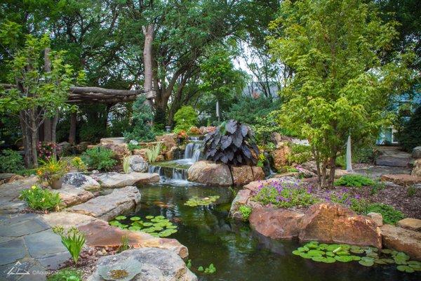 Expansive koi pond with a waterfall and pond landscaping