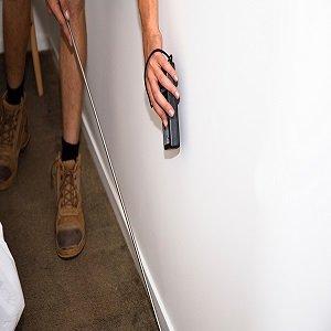 Cary Termite Removal Experts