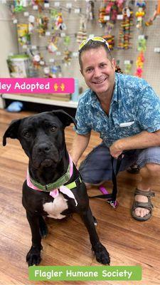 Steve Verrier / The Florida Mortgage Center