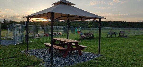 large dog area canopy at sunset