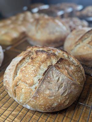 Hope Street Farmstand