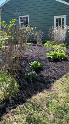 Green Garden Thumb LLC- landscaping