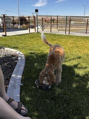 Badger Canyon Dugout